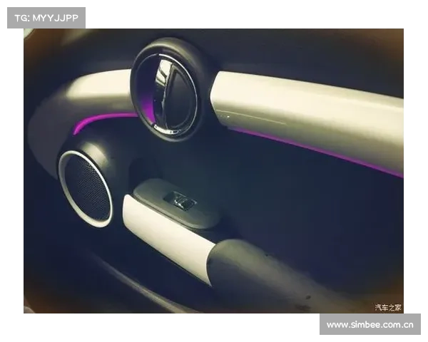 一个拖延症晚期患者的 MINI COOPER S 提车记 一个拖延症晚期患者的 MINI COOPER S 提车记
