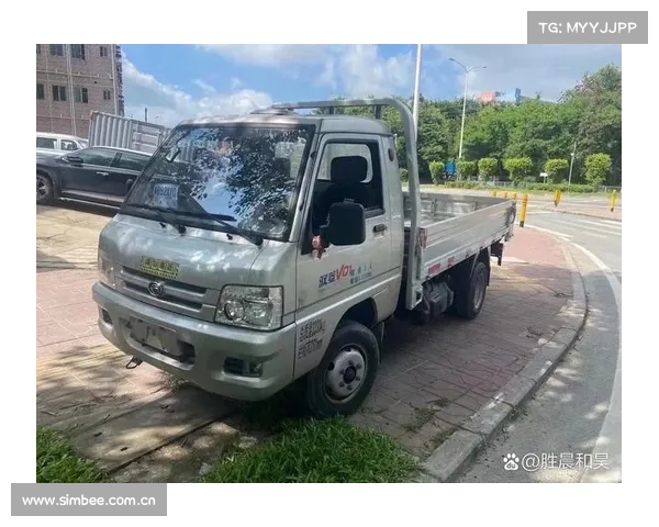 不一样的国五汽油驭菱自卸新产品的自介 不一样的国五汽油驭菱自卸新产品的自介