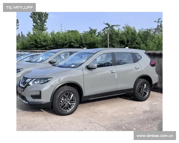 全新奇骏倒底变了些什么?新增七座版好用吗? 全新奇骏倒底变了些什么?新增七座版好用吗?